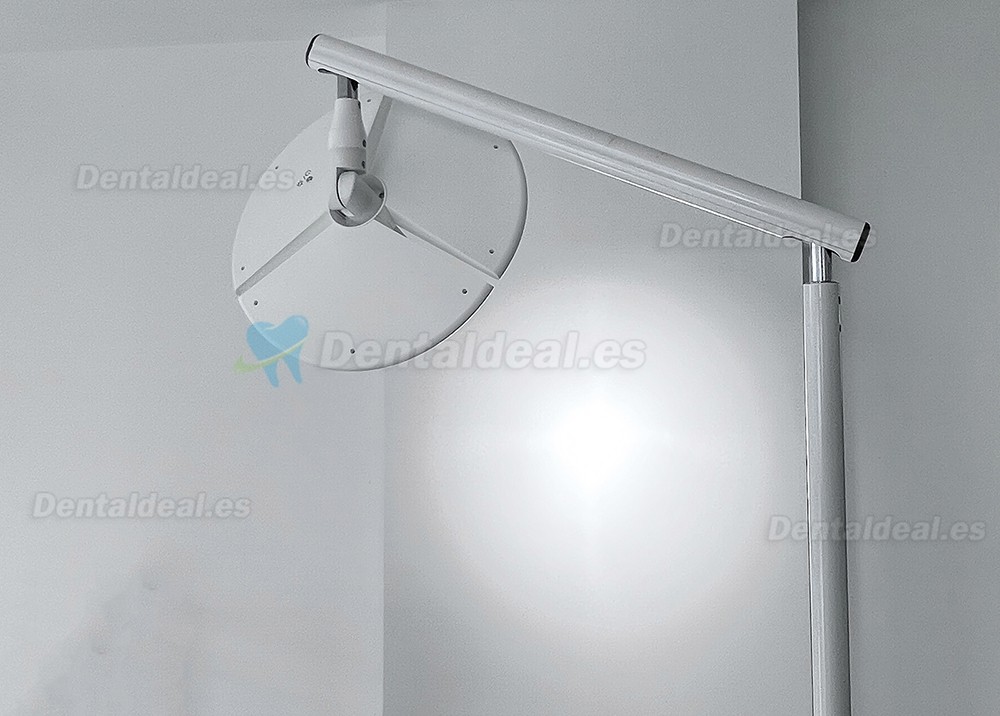 KWS KD-2036L-4 L&aacute;mpara Dental LED M&oacute;vil de Pie 80W con 4 Ruedas